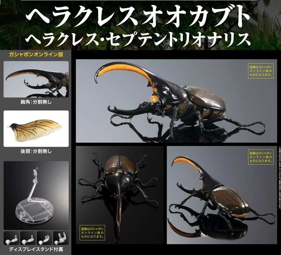 いきもの大図鑑アドバンス　ゾウカブトとヘラクレスオオカブト　ディスプレイスタンド いきもの大図鑑アドバンス ゾウカブトとヘラクレスオオカブト
